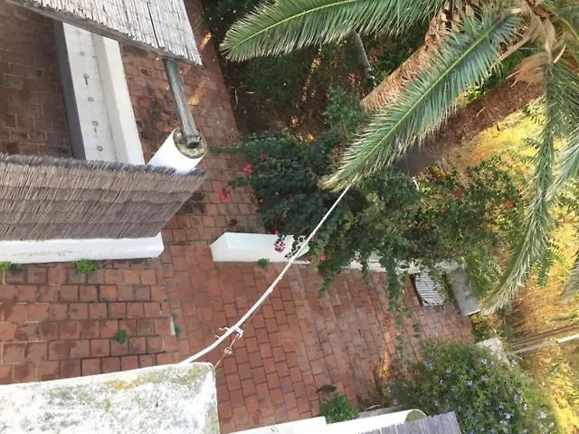 Ca Balena Piccola E Grande * 斯特龙博利